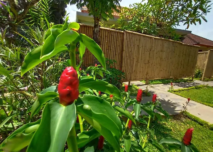 Kamala House Guest house Ubud (Bali)