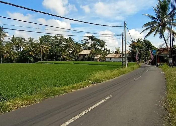 Kamala House
